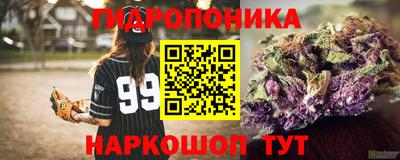 гашик Малоярославец