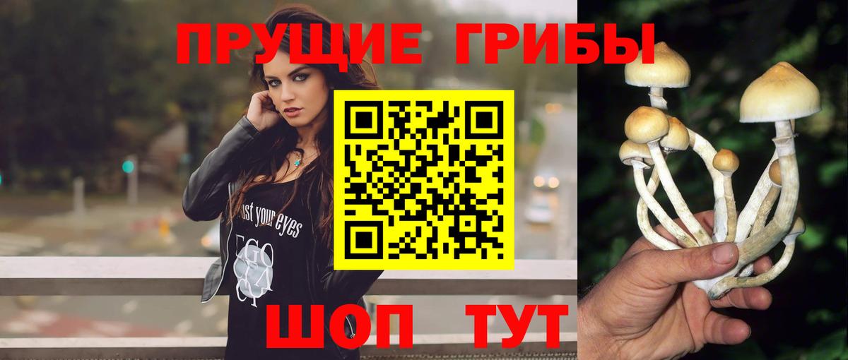 Елабуга  Галлюциногенные грибы GOLDEN TEACHER  Вход с VPN 